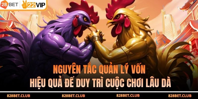 Nguyên tắc quản lý vốn hiệu quả để duy trì cuộc chơi lâu dà